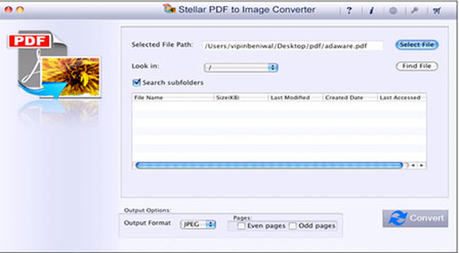 Интерфейс Stellar Converter for PDF