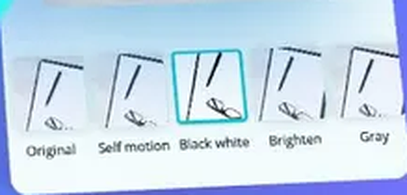 Панель фильтров Original, Self motion, Black white, Brighten и Gray