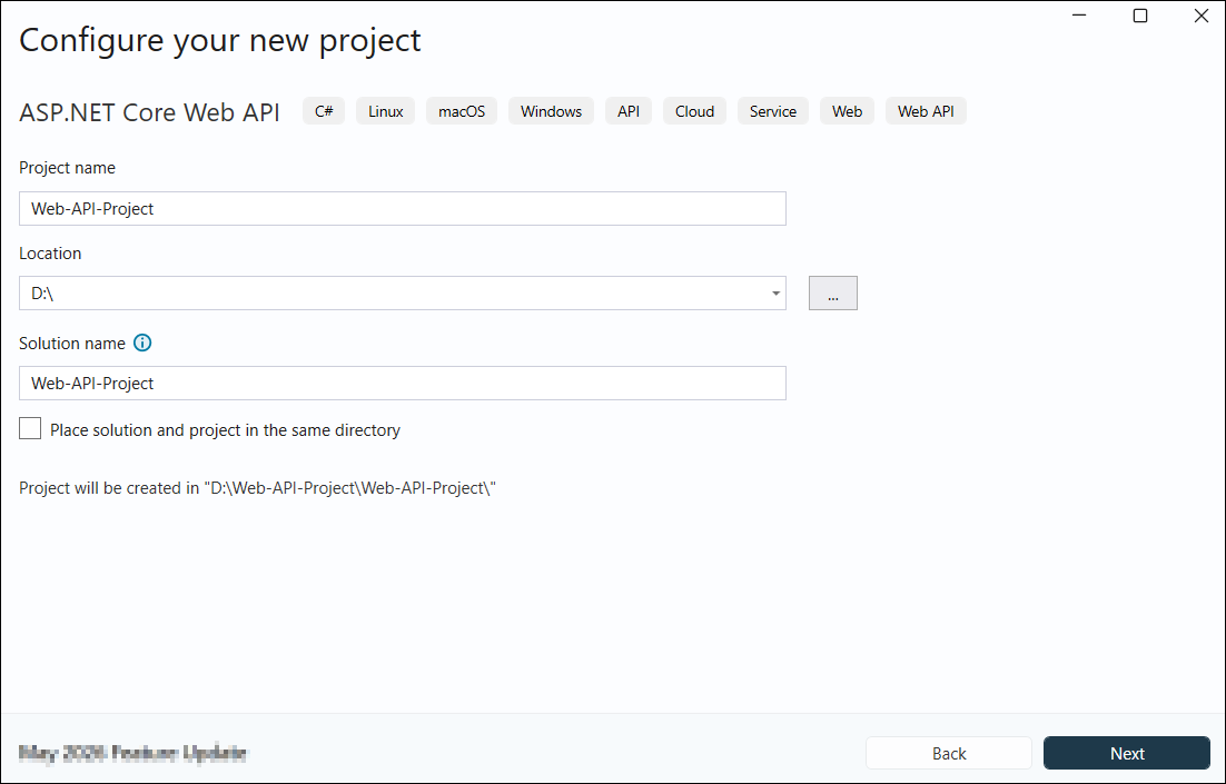 Настройка имени и параметров Web API проекта