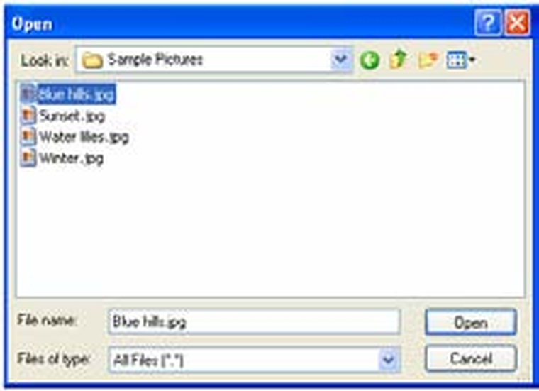 Диалог открытия файла в VeryPDF PDF Editor