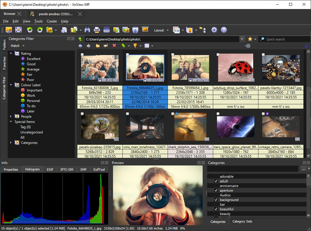 Браузер миниатюр XnView MP в Windows
