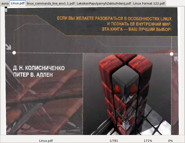 Несколько документов, открытых во вкладках apvlv