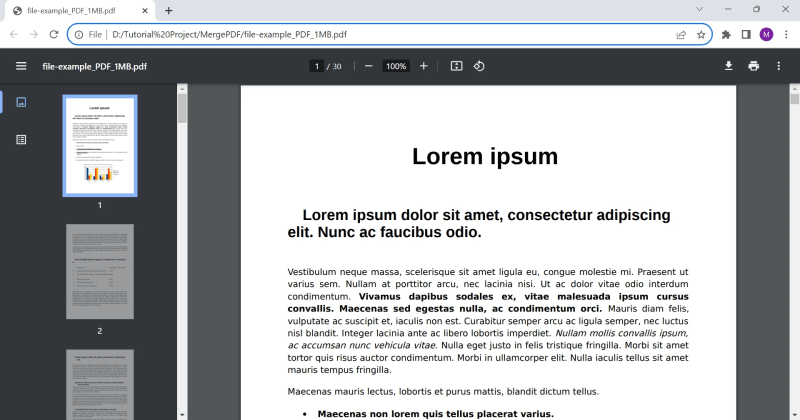 Скриншот Chromium PDF Viewer: pdf viewer chrome list 1