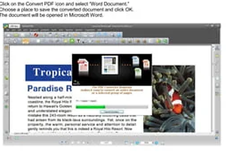Преобразование PDF в Microsoft Word в eCopy PDF Pro Office