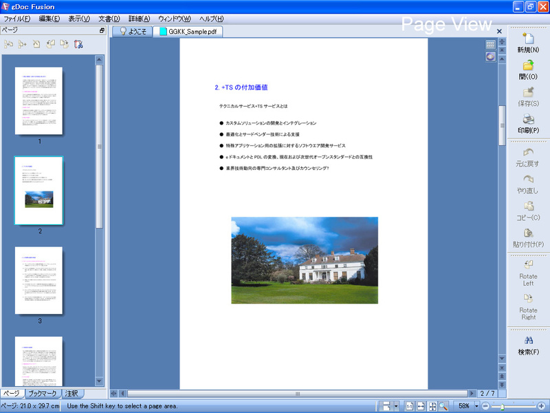 Режим Page View в gDoc Fusion