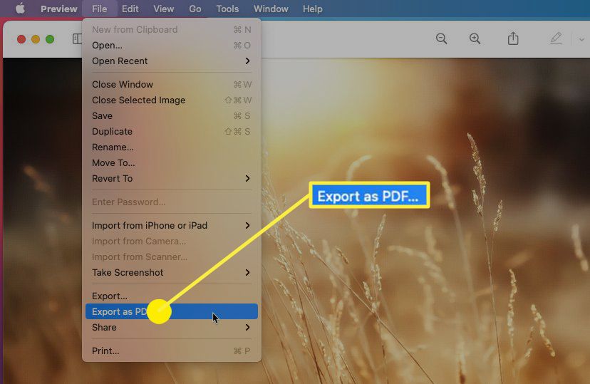 macOS: Export as PDF