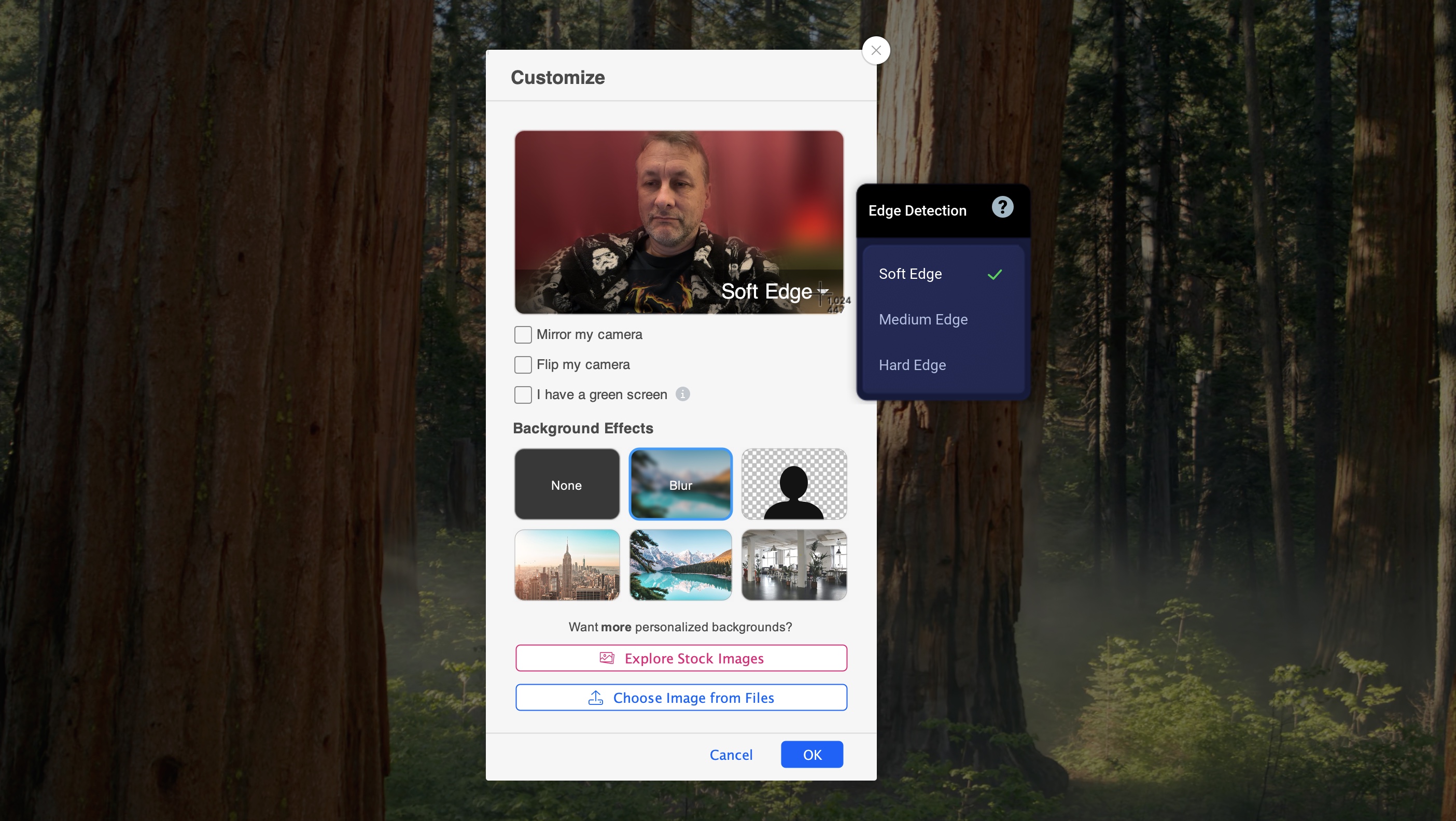 Настройка веб-камеры и фона в ScreenPal