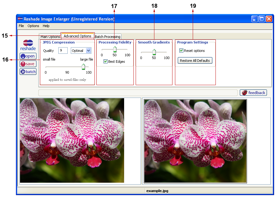 Вкладка Advanced Options в Reshade Image Enlarger