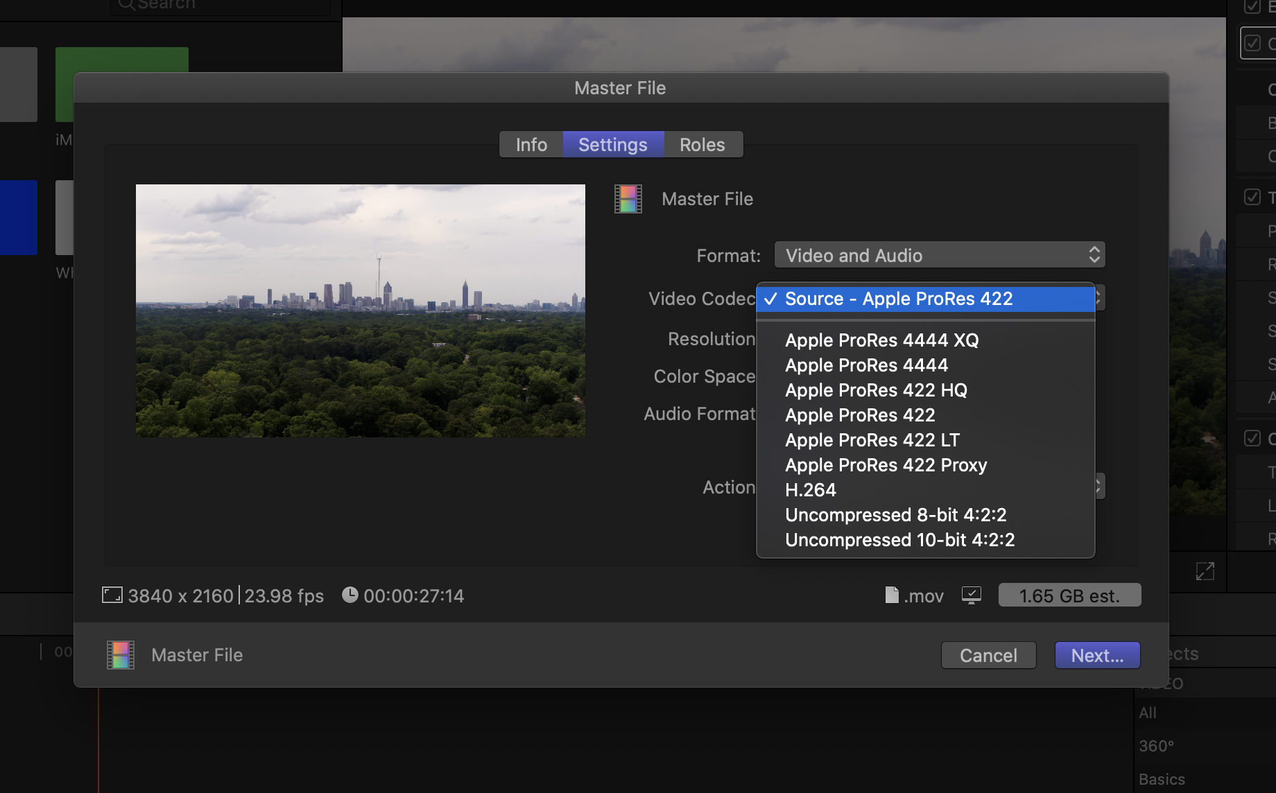Окно Master File в Final Cut Pro