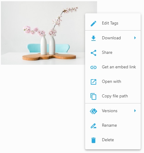 Контекстное меню файла в Daminion Web Client: Edit Tags, Download, Share, Versions, Rename и Delete