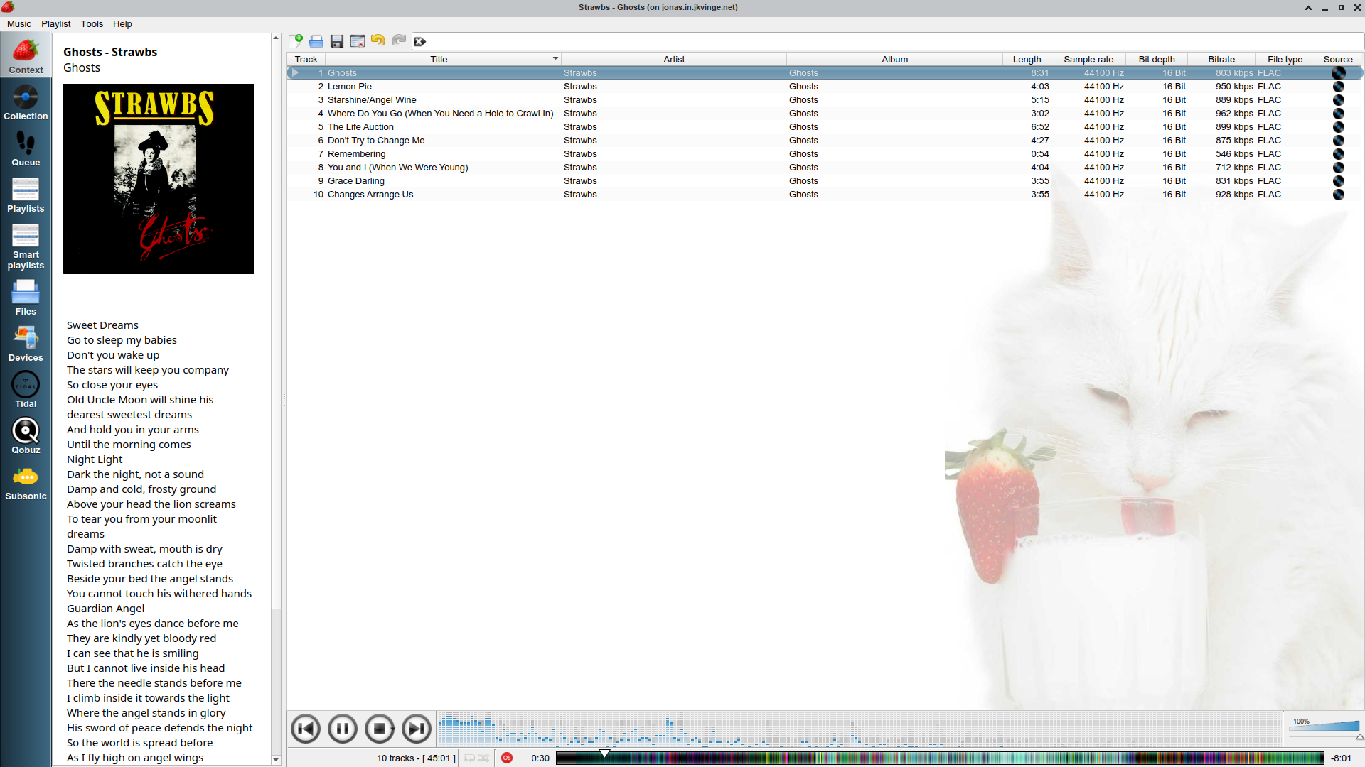Скриншот Strawberry Music Player с библиотекой