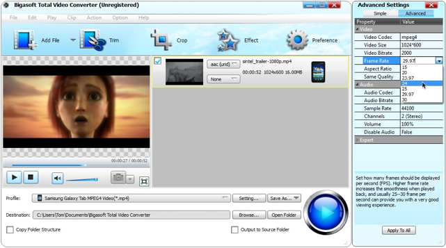 Окно Advanced Settings в Bigasoft Total Video Converter