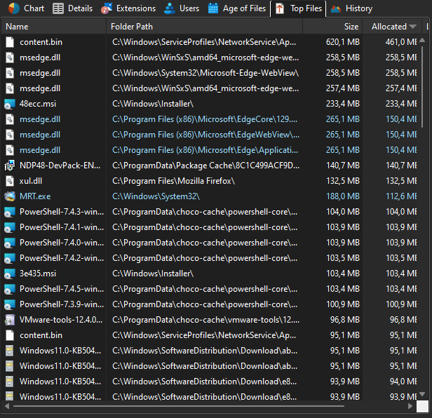 Top Files в TreeSize Professional