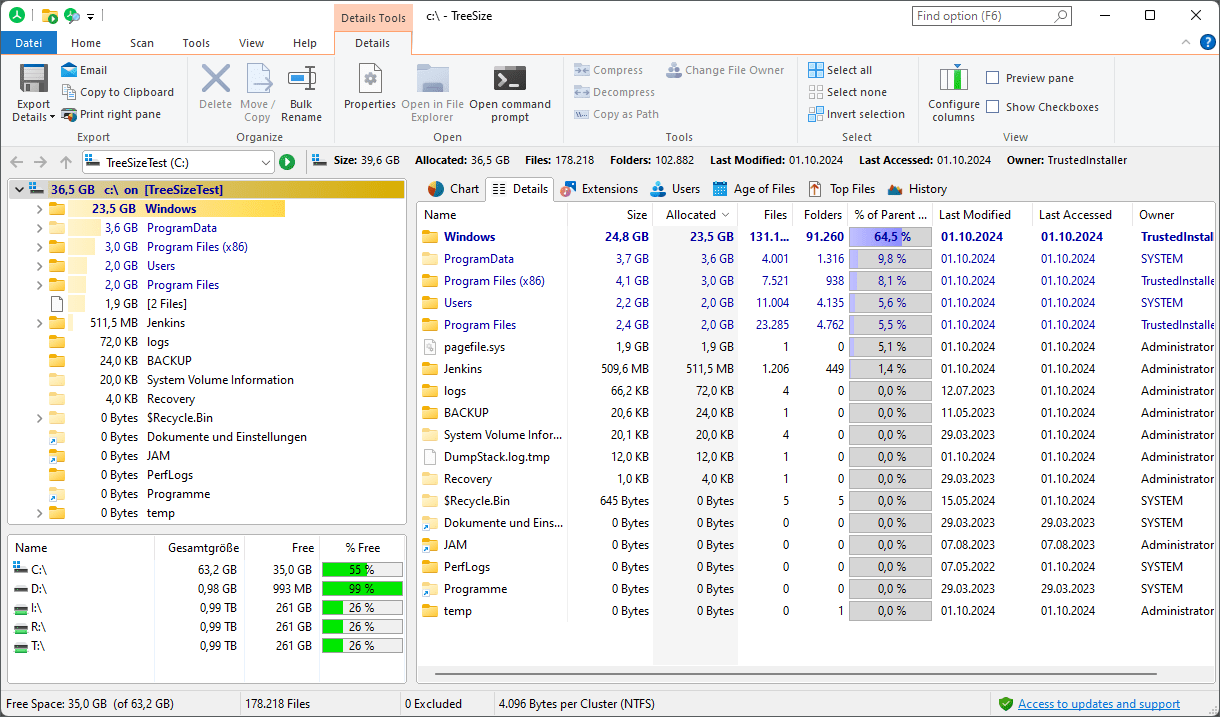 Главное окно TreeSize Professional с Directory Tree и Details