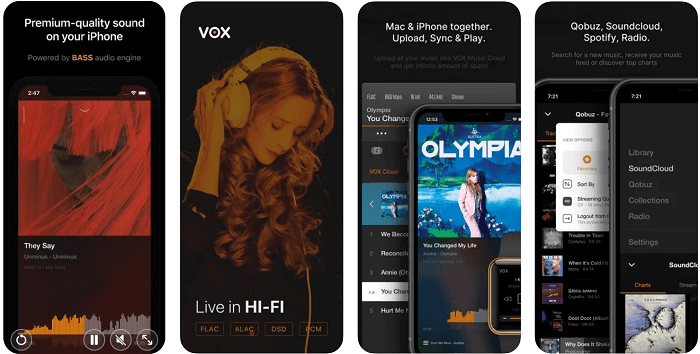 Скриншот VOX Music Player с музыкальной библиотекой
