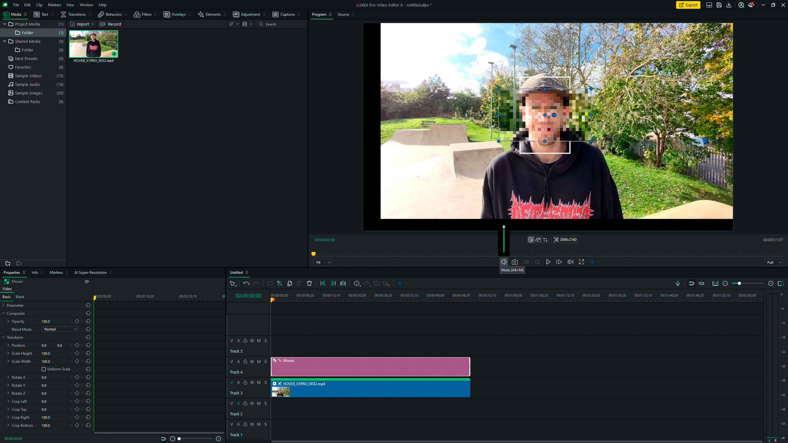 Motion Tracking в Luxea с рамкой отслеживания и мозаикой на движущемся лице