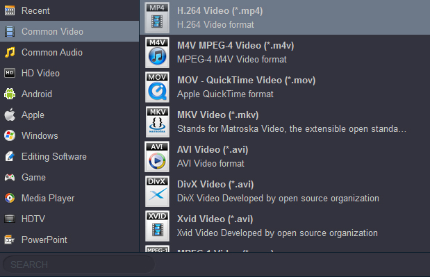Список выходных профилей Acrok MTS Converter