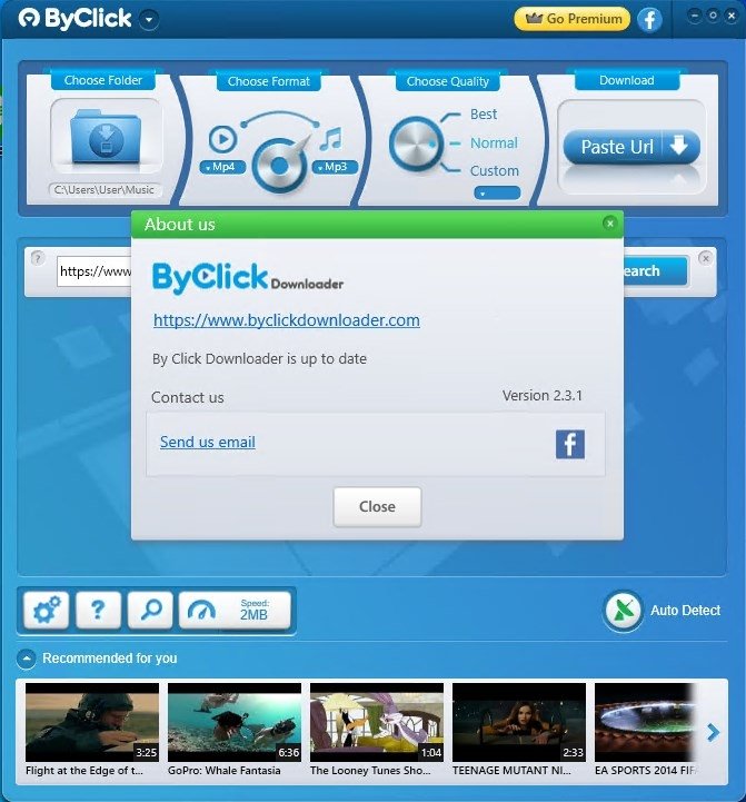 Выбор параметров загрузки в ByClick Downloader