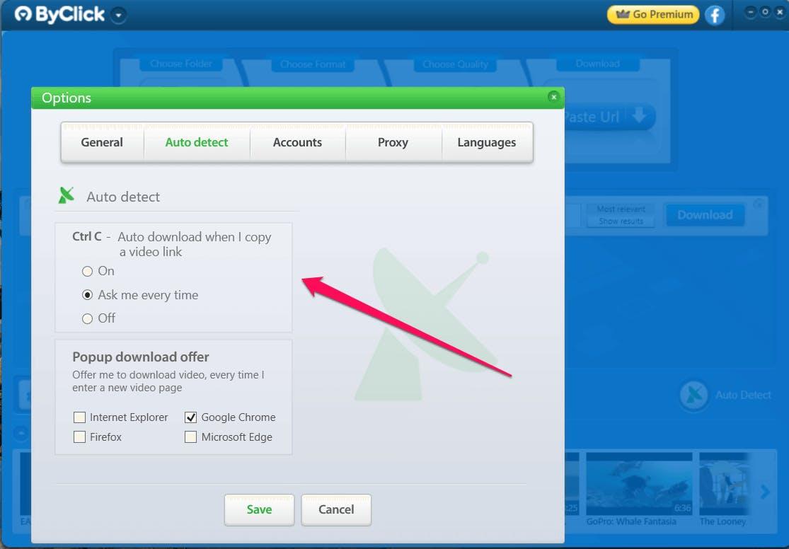 Настройки Auto Detect ByClick Downloader в расширенном окне