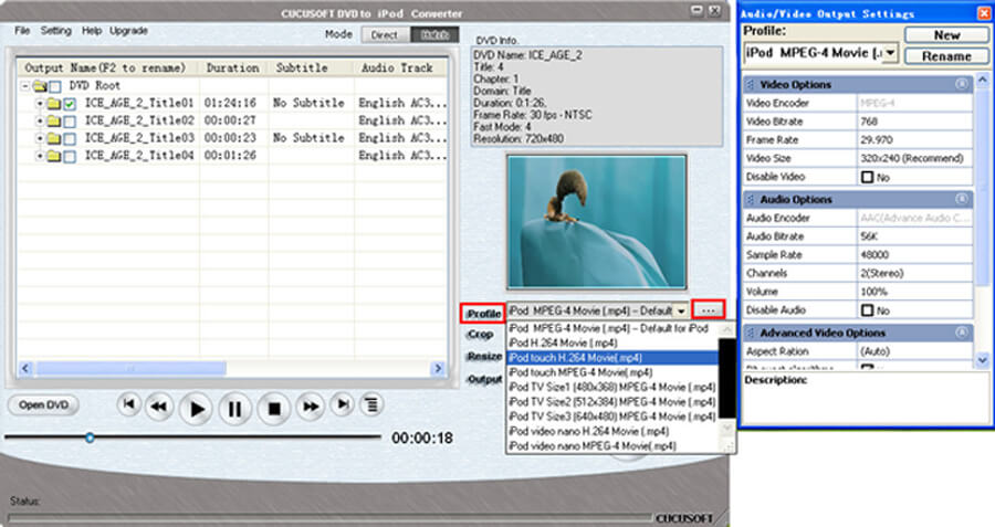 Список профилей и Audio/Video Output Settings в Cucusoft DVD to iPod Converter
