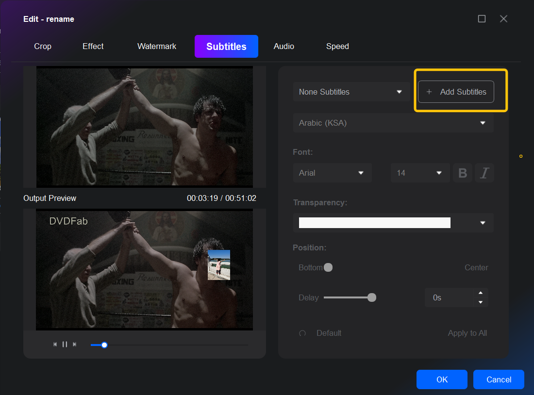 Вкладка Subtitles встроенного редактора DVDFab с кнопкой Add Subtitles и настройками текста