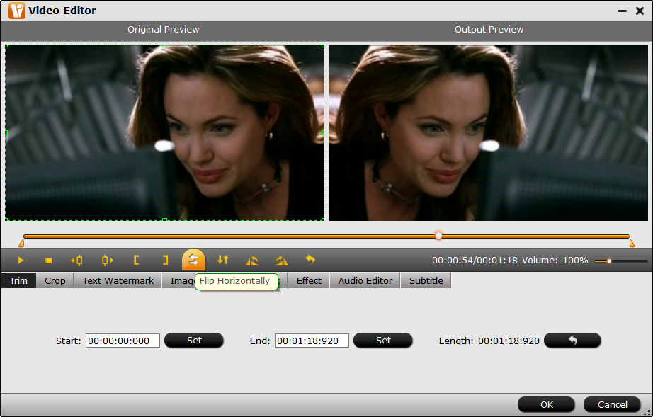 Горизонтальное отражение в Video Editor DumboFab Blu-ray Ripper