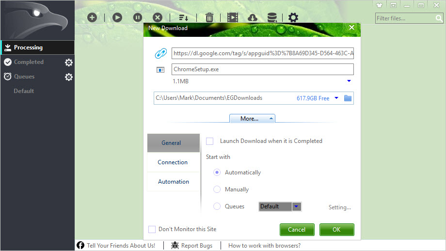 Расширенное окно New Download EagleGet с вкладками General, Connection и Automation