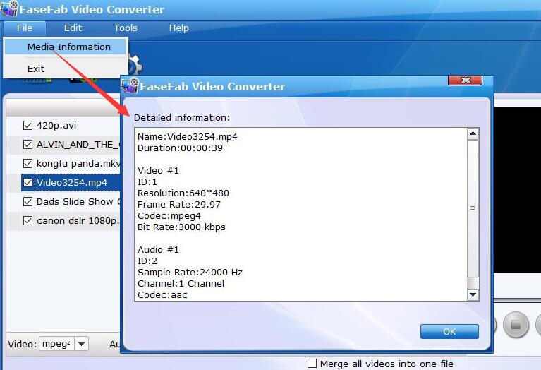 Окно Media Information EaseFab Video Converter