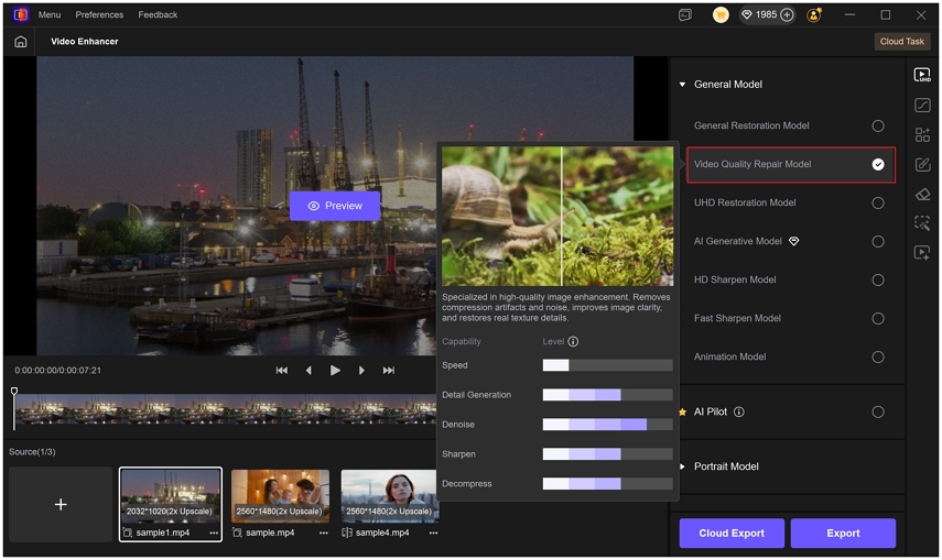 Выбранная Video Quality Repair Model в панели Video Enhancer