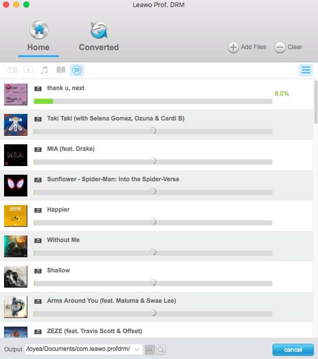 Leawo Prof. DRM for Mac с главными DRM-модулями