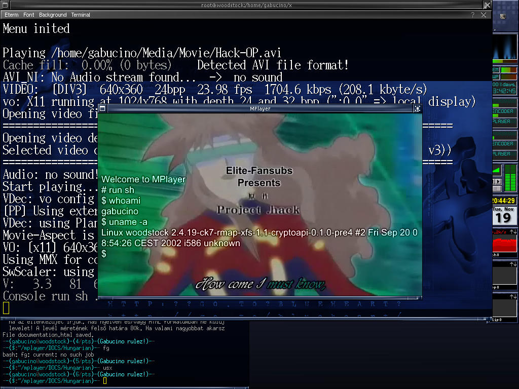 Настраиваемое OSD-меню MPlayer поверх воспроизводимого видео