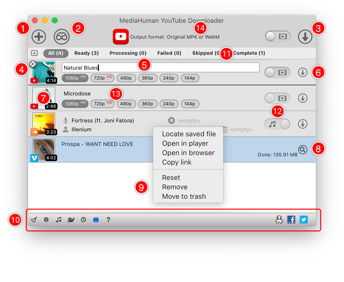 Главное окно MediaHuman YouTube Downloader с очередью, фильтрами и контекстным меню