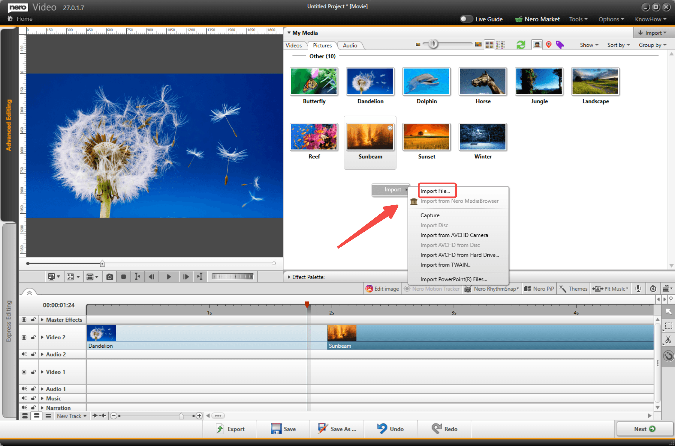 Меню Import в панели My Media с импортом файла, диска, AVCHD и камеры