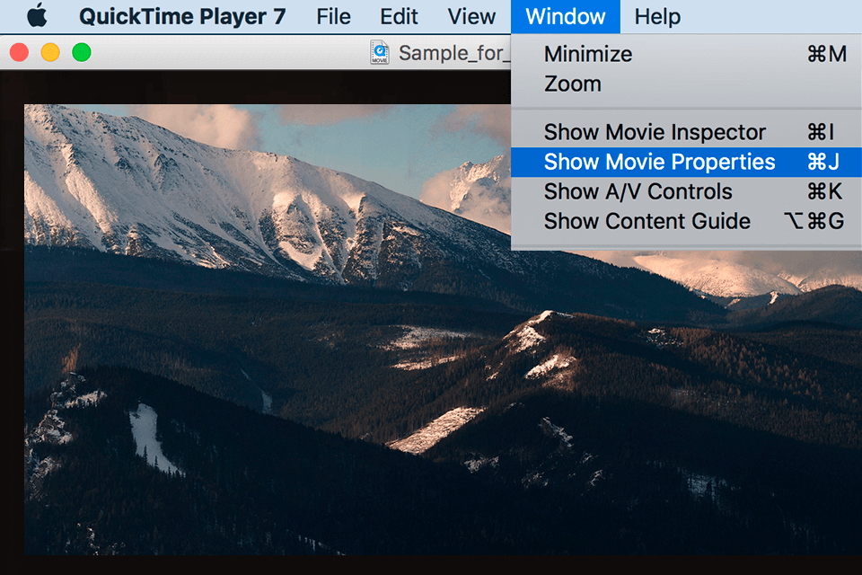 Интерфейс QuickTime Pro