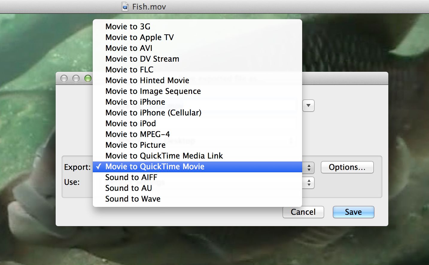 Интерфейс QuickTime Pro