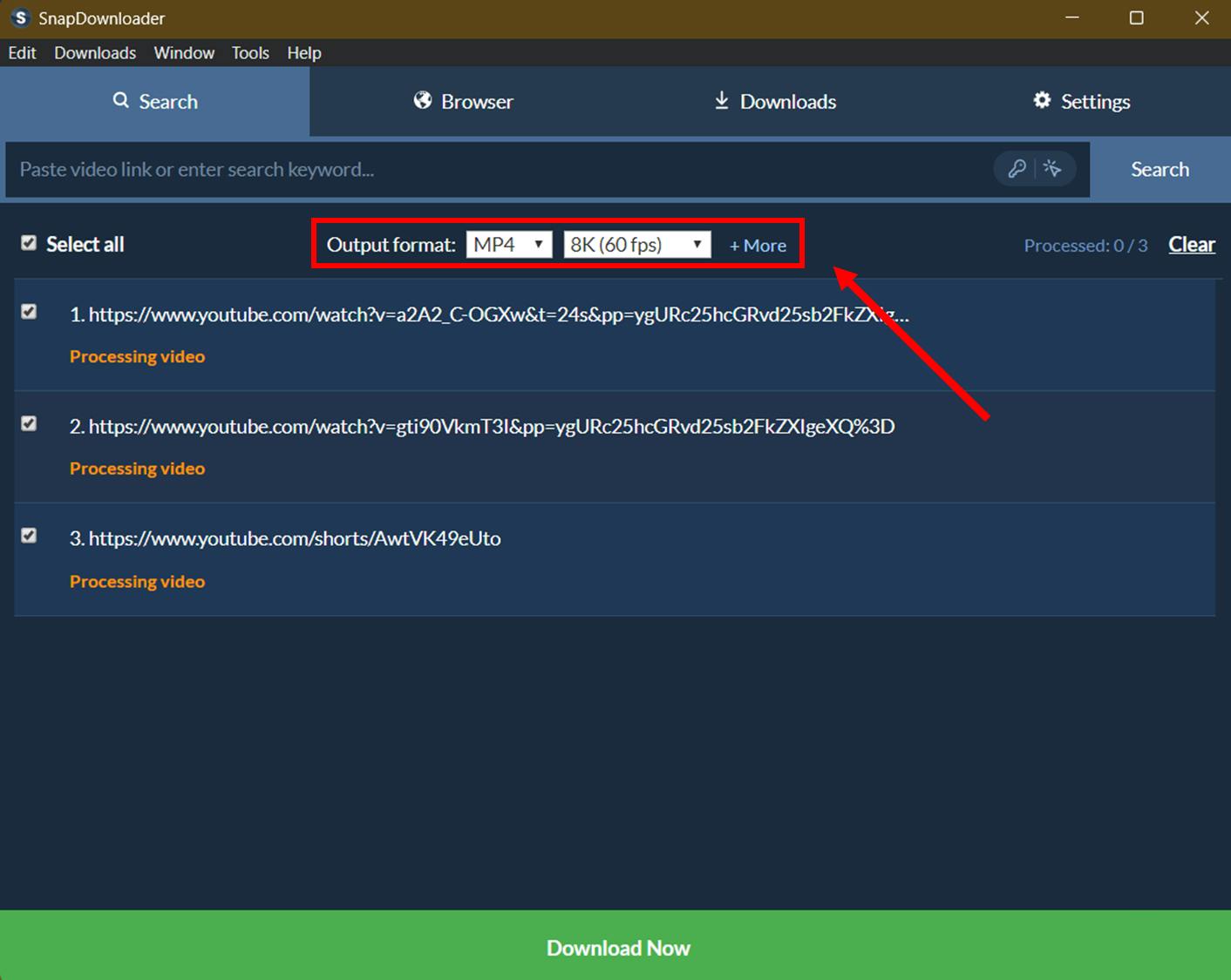 Пакет ссылок в SnapDownloader на стадии Processing video перед загрузкой