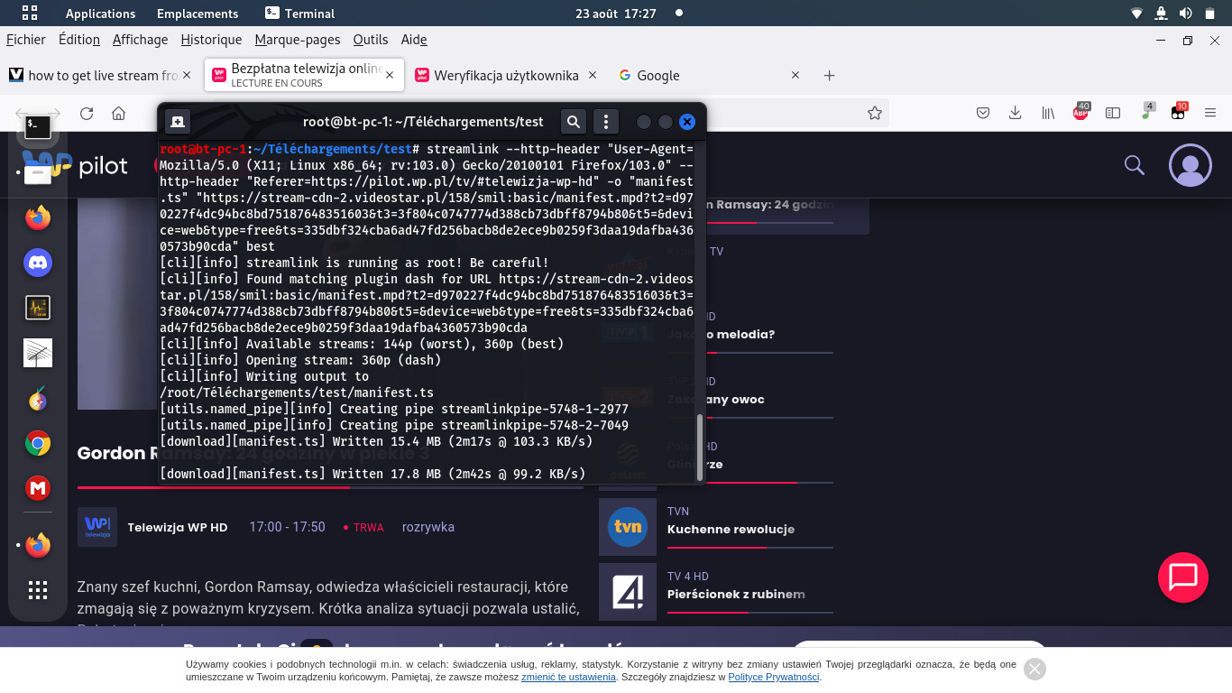 Streamlink в Linux открывает DASH-поток и записывает его в файл