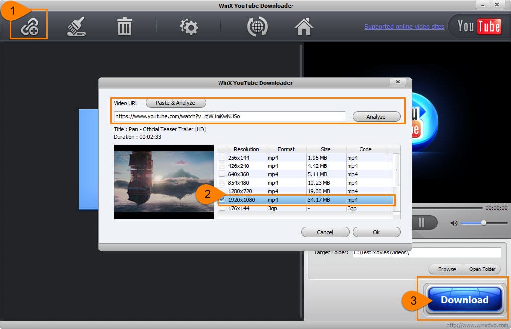 Диалог добавления URL в WinX YouTube Downloader с кнопкой анализа