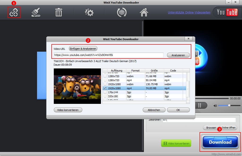 Выбор формата и разрешения в окне анализа WinX YouTube Downloader