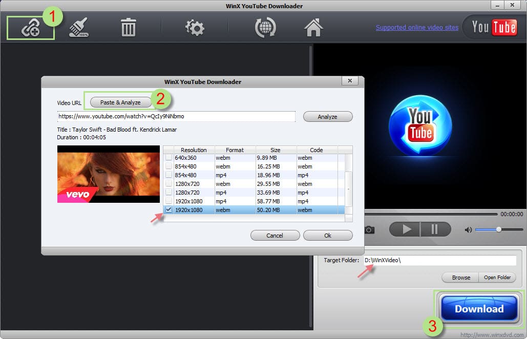Окно анализа WinX YouTube Downloader с областью Subtitles