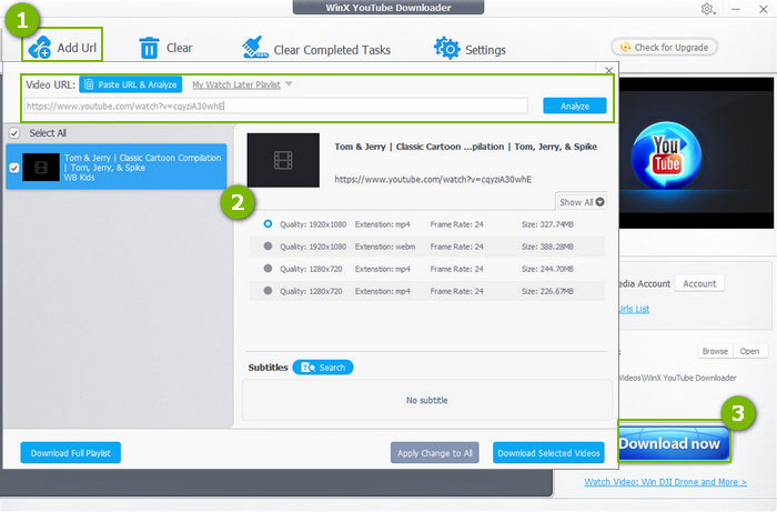 Окно WinX YouTube Downloader с вариантами MP4 и WebM после анализа