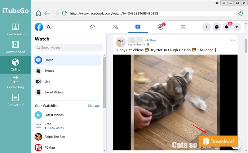 Встроенный браузер iTubeGo с кнопкой загрузки видео