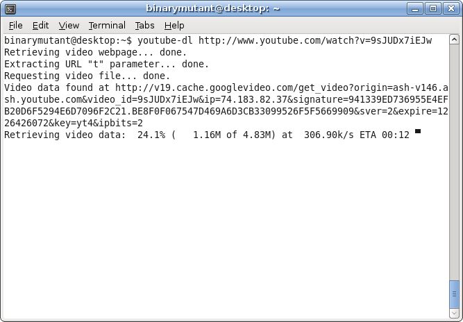 Прогресс загрузки youtube-dl в Linux Terminal с процентом, скоростью и ETA