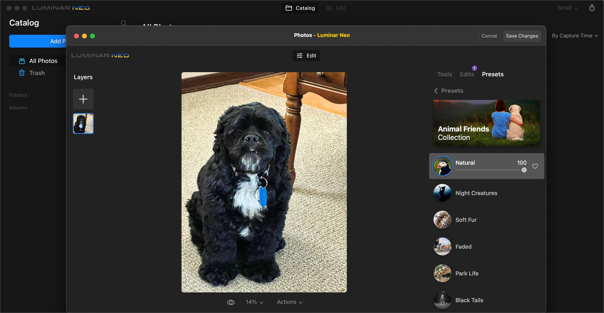 Интерфейс Luminar Neo
