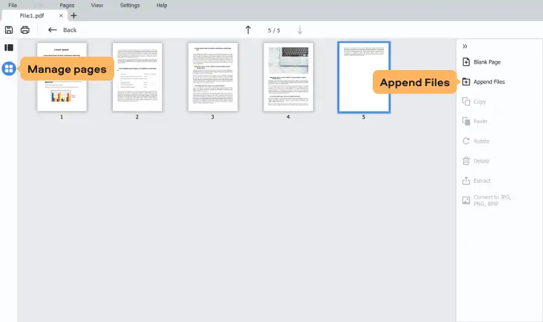 Режим управления страницами в Movavi PDF Editor