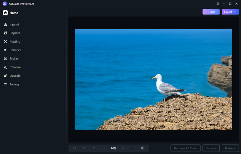 Рабочее окно AVCLabs PhotoPro AI после открытия изображения: инструменты слева, +Add и Export справа