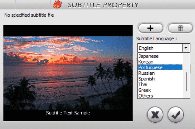 Окно SUBTITLE PROPERTY в WinX DVD Author