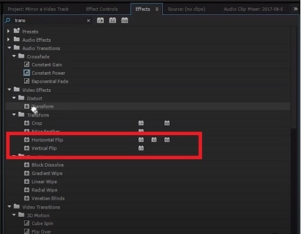 Adobe Premiere Pro: выбор Horizontal Flip и Vertical Flip