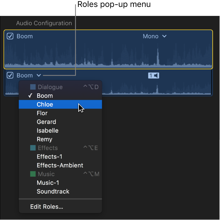Final Cut Pro: Roles pop-up menu (назначение ролей звуку)