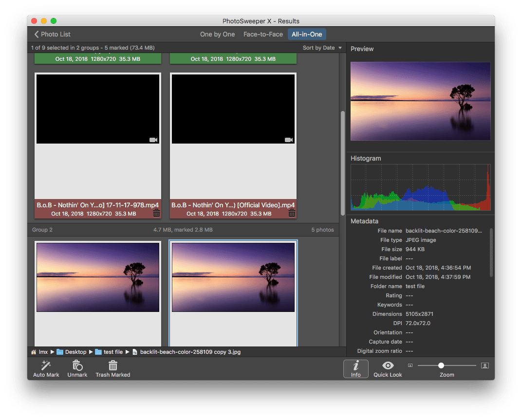Режим All-in-One в PhotoSweeper X с Preview, Histogram и Metadata